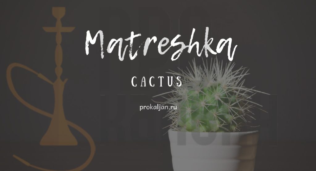 Табак Matreshka - Cactus