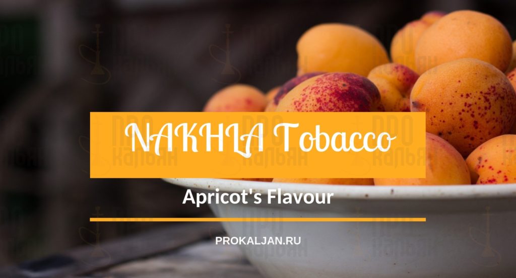 NAKHLA Tobacco Apricot's Flavour