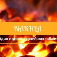 Nakhla — один из самых популярных табаков с широкой линейкой вкусов