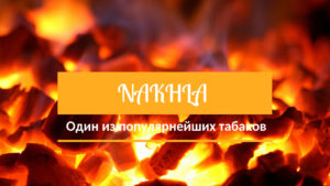 Nakhla - один из популярнейших табаков с широким выбором вкусов
