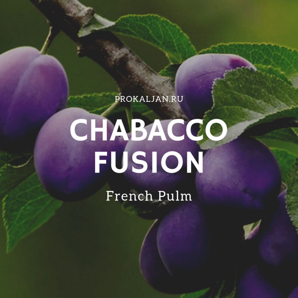 Chabacco Fusion - French Pulm