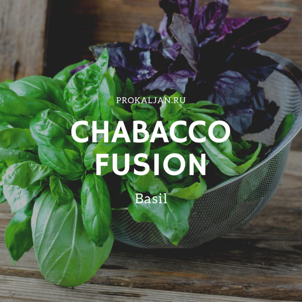 Chabacco Fusion - Basil