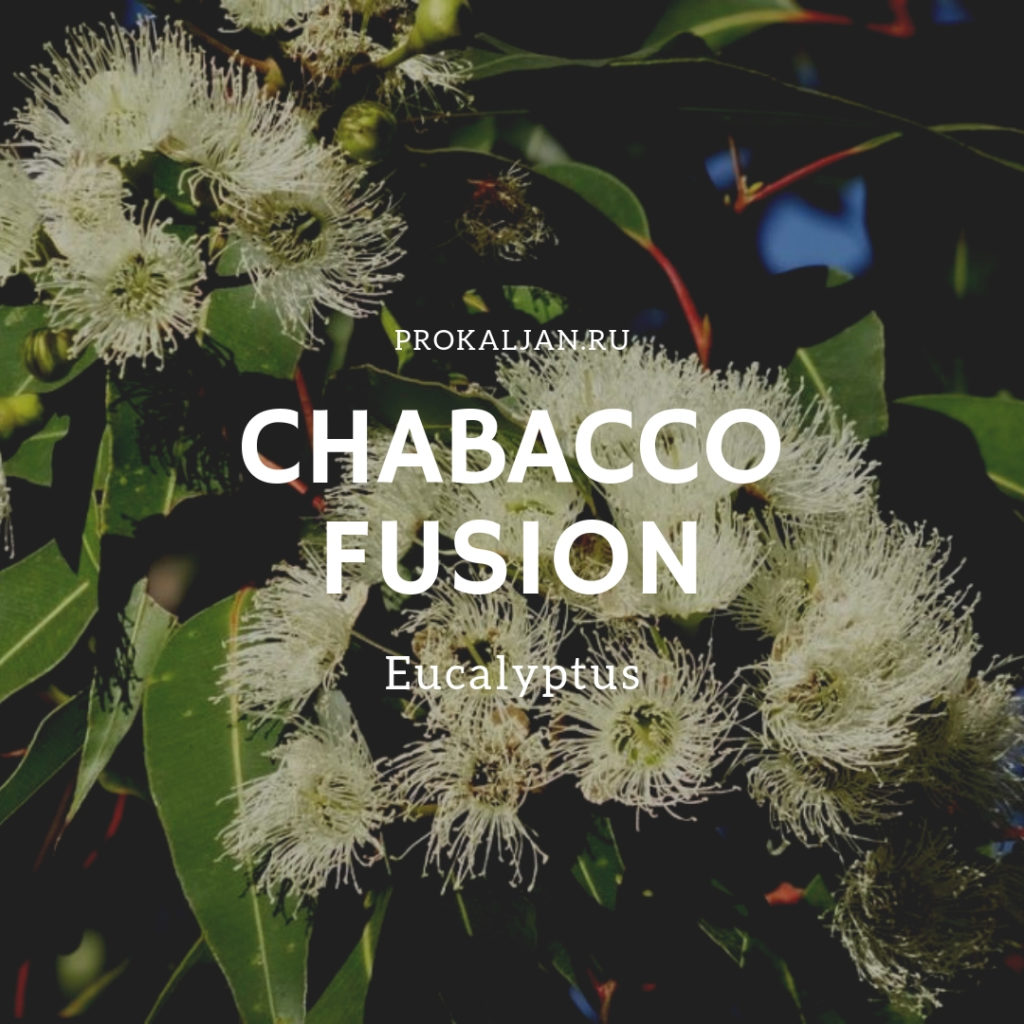 Chabacco Fusion - Eucalyptus