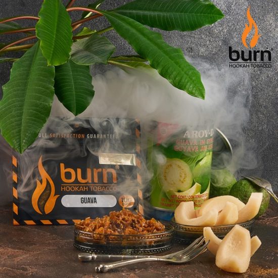 Табак для кальяна Burn Guava